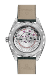 Omega | SEAMASTER AQUA TERRA 150M 41 MM, ACCIAIO SU PELLE - 220.13.41.21.10.001 (2)