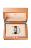 Omega | SEAMASTER RAILMASTER 38 MM, ACCIAIO SU PELLE - 235.12.38.20.06.001 (3)