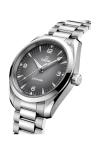Omega | SEAMASTER RAILMASTER 38 MM, ACCIAIO SU ACCIAIO - 235.10.38.20.06.001 (3)