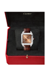 Cartier | SANTOS-DUMONT MODELLO EXTRA-LARGE, PALTINO, MANUALE - LIMITED EDITION - WGSA0113 (4)