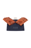 Wyler Vetta | JUMBOSTAR INCAFLEX - LIMITED EDITION - WV0440 (2)