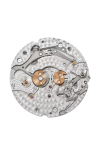 Patek Philippe | COMPLICAZIONI, ORE E MINUTI SU RICHIESTA, CARICA AUTOMATICA - 5249R-001 (5)