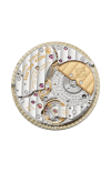 Patek Philippe | COMPLICAZIONI, ORA UNIVERSALE, CARICA AUTOMATICA - 7129J-001 (6)