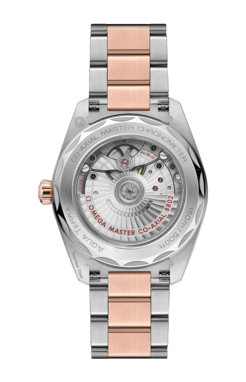 Accedi alla scheda di Omega SEAMASTER AQUA TERRA 150M 38 MM, ACCIAIO-ORO SEDNA&trade; SU ACCIAIO-ORO SEDNA&trade; - 220.20.38.20.10.001