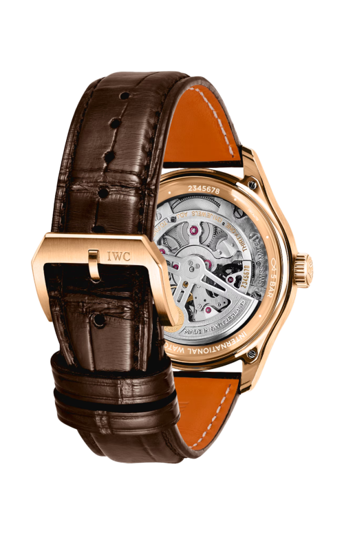 Accedi alla scheda di Iwc Schaffhausen PORTUGIESER AUTOMATIC 40 - IW358404