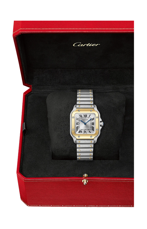 Accedi alla scheda di Cartier SANTOS DE CARTIER MODELLO PICCOLO, ACCIAIO E ORO GIALLO, QUARZO - W2SA0033