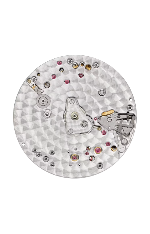 Accedi alla scheda di Patek Philippe GOLDEN ELLIPSE, CARICA AUTOMATICA - 3738/100G-014