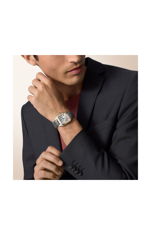 Accedi alla scheda di Cartier SANTOS-DUMONT MODELLO GRANDE, ORO GIALLO, ACCIAIO, QUARZO - W2SA0046