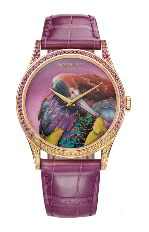 Accedi alla scheda di Patek Philippe RARE HANDCRAFTS IBIS FACCIA-BIANCA, AUTOMATICO - LIMITED EDITION - 5077/213R-001