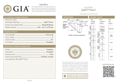 Accedi al prodotto correlato Bartorelli Italian Jewels ANELLO VERETTA IN ORO BIANCO CON DIAMANTI CERTIFICATI - BAAN252