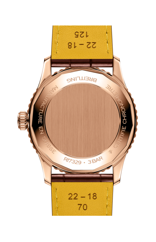 Accedi al prodotto correlato Breitling NAVITIMER AUTOMATIC 41 - R17329F41G1P1