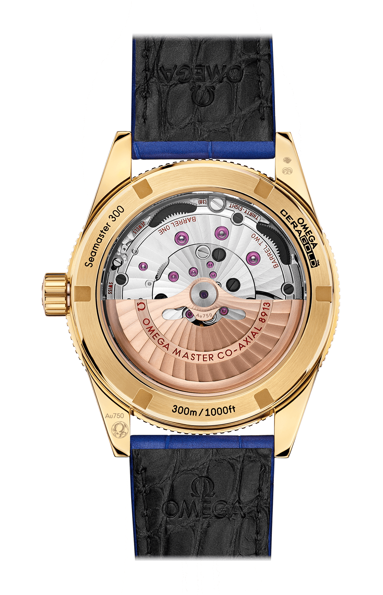 Omega | SEAMASTER 300 41 MM, ORO GIALLO SU PELLE - 234.63.41.21.99.002 (2)