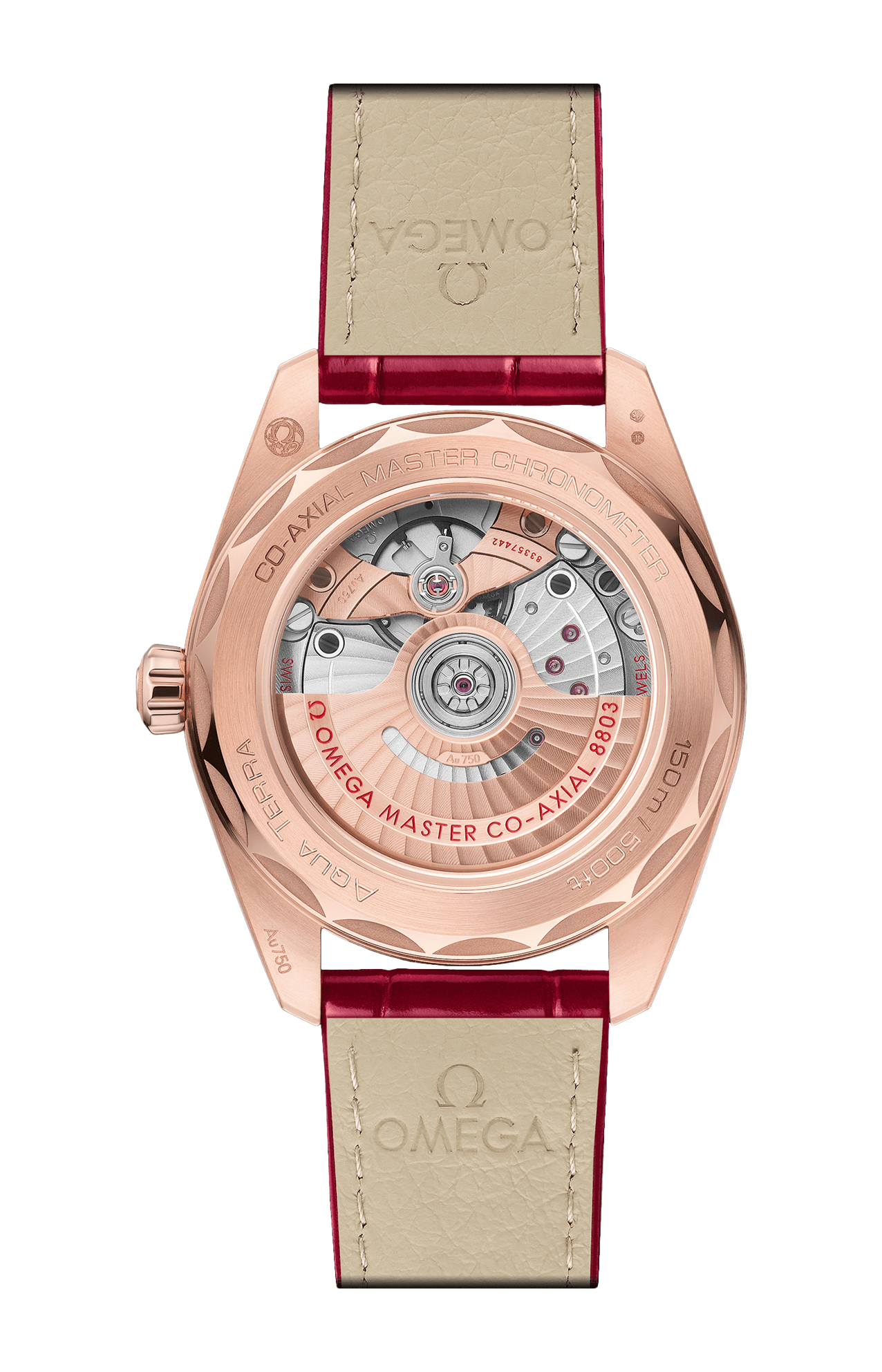 Omega | SEAMASTER AQUA TERRA 150M 38 MM, ORO SEDNA&trade; SU PELLE - 220.58.38.20.55.002 (2)