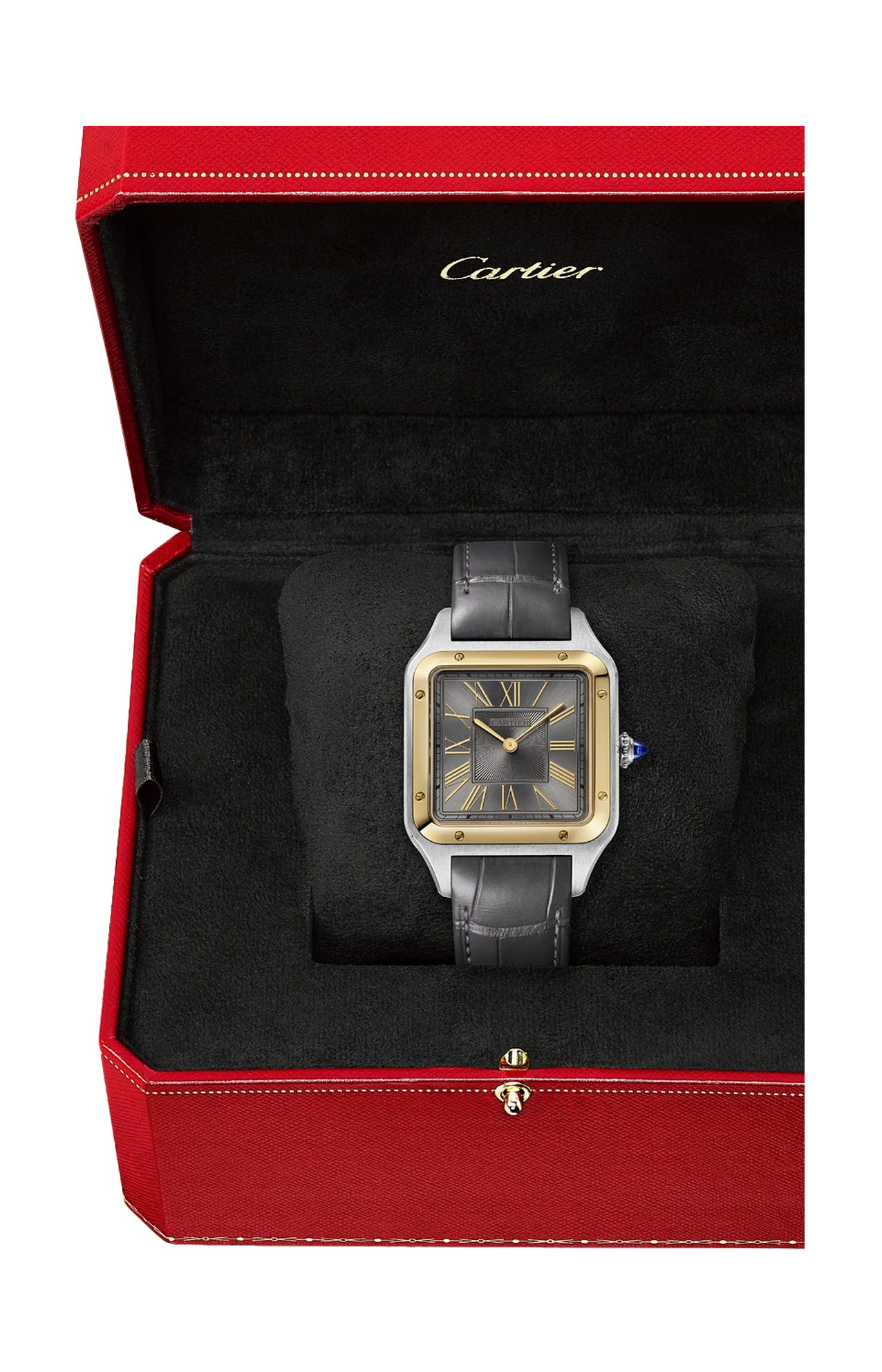 Cartier | SANTOS-DUMONT, MODELLO GRANDE, ACCIAIO, ORO GIALLO, QUARZO - W2SA0036 (6)
