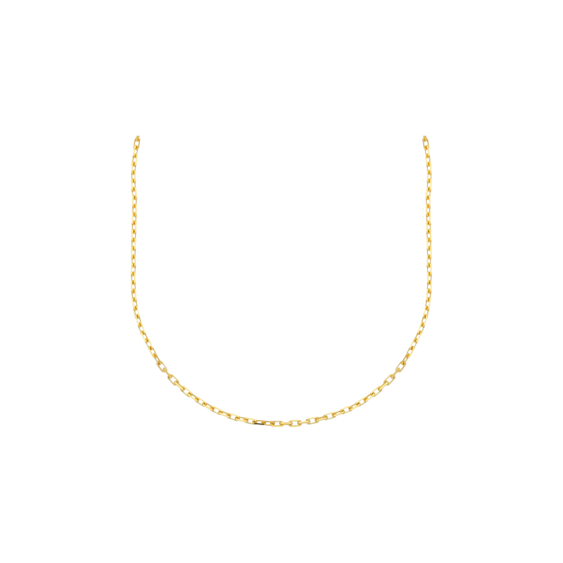 Bartorelli Italian Jewels | CATENA FORZATINA IN ORO GIALLO - MFL042GG42 (1)