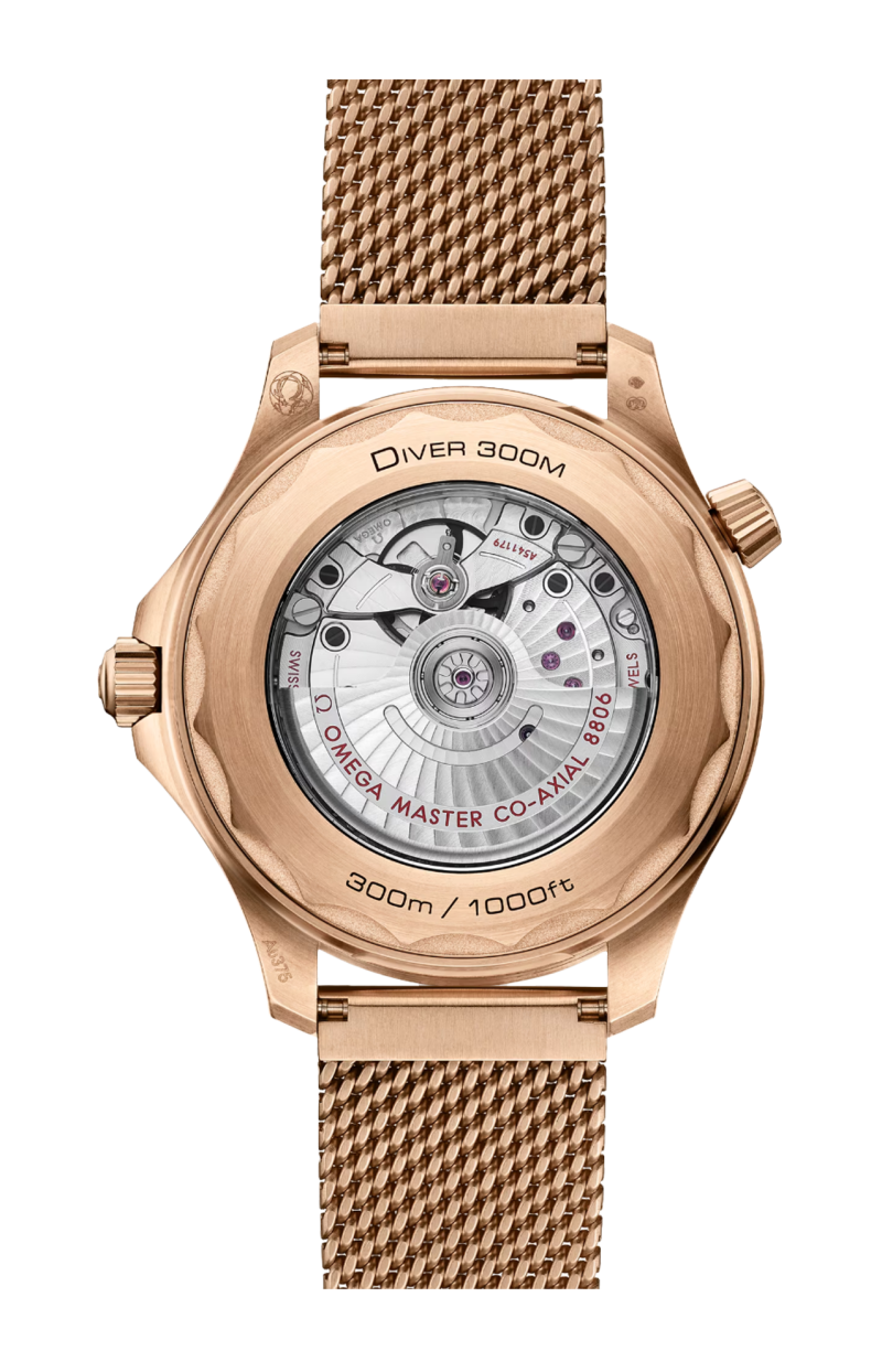 Omega | SEAMASTER DIVER 300M 42 MM, BRONZE GOLD SU BRONZE GOLD - 210.90.42.20.01.003 (2)