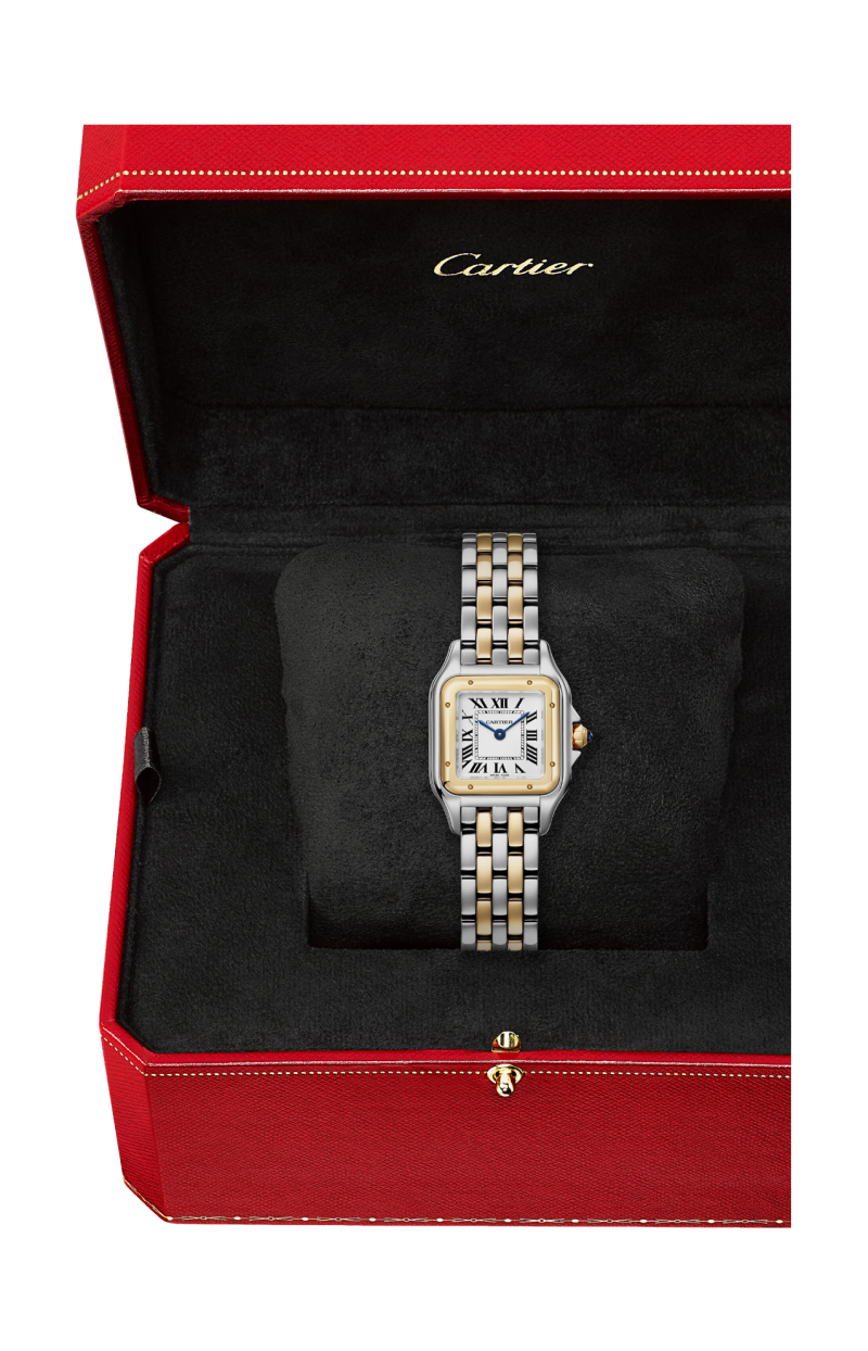 Cartier | PANTH&Egrave;RE DE CARTIER MODELLO PICCOLO, ORO GIALLO, ACCIAIO, QUARZO - W2PN0018 (6)