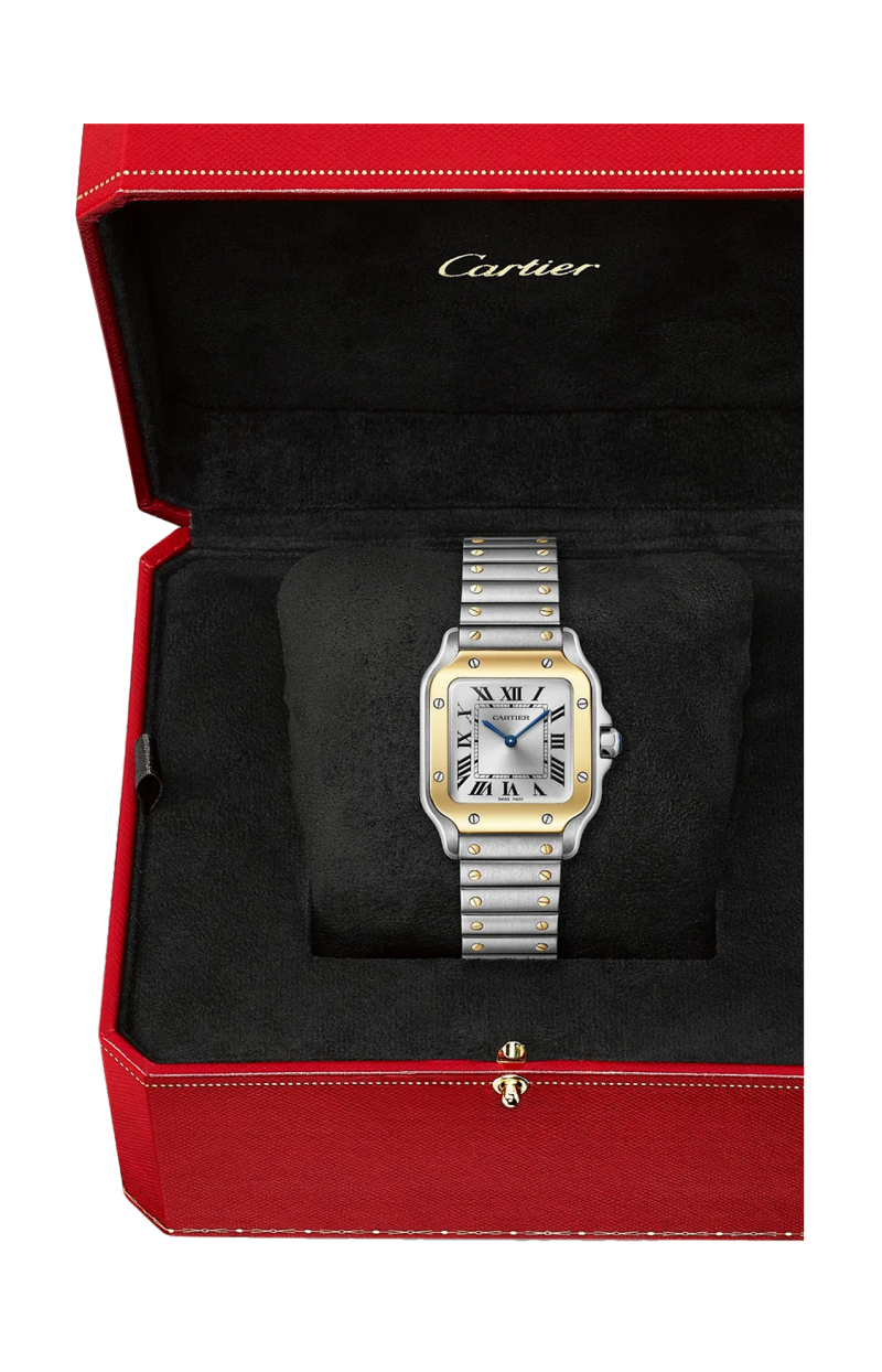 Cartier | SANTOS DE CARTIER MODELLO PICCOLO, ACCIAIO E ORO GIALLO, QUARZO - W2SA0033 (5)