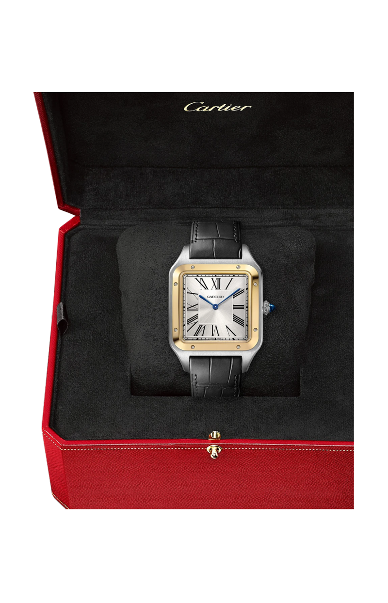 Cartier | SANTOS-DUMONT MODELLO EXTRA-LARGE, ACCIAIO E ORO GIALLO, MANUALE - W2SA0034 (3)