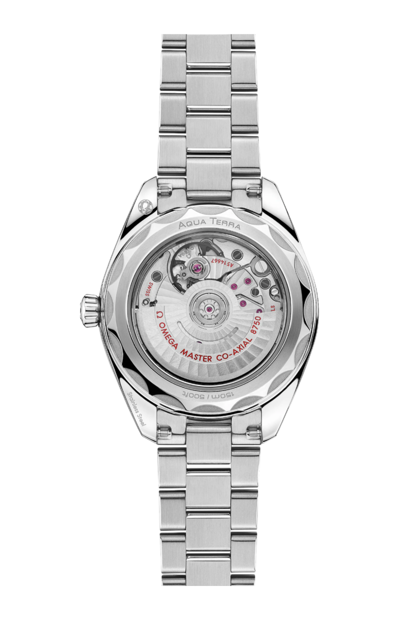 Omega | SEAMASTER AQUA TERRA 150M 30 MM, ACCIAIO SU ACCIAIO - 220.10.30.20.01.001 (2)