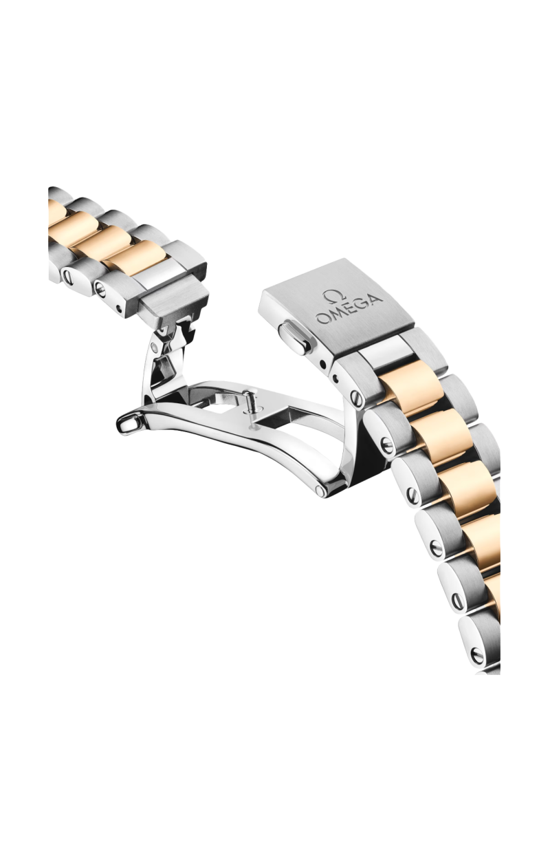 Omega | SEAMASTER AQUA TERRA 150M 30 MM, ACCIAIO-ORO MOONSHINE&trade; SU ACCIAIO-ORO MOONSHINE&trade; - 220.25.30.20.55.001 (3)