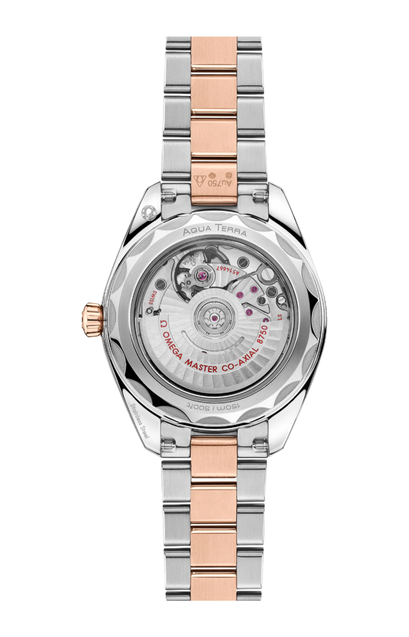 Omega | SEAMASTER AQUA TERRA 150M 30 MM, ACCIAIO-ORO SEDNA&trade; SU ACCIAIO-ORO SEDNA&trade; - 220.20.30.20.63.001 (2)