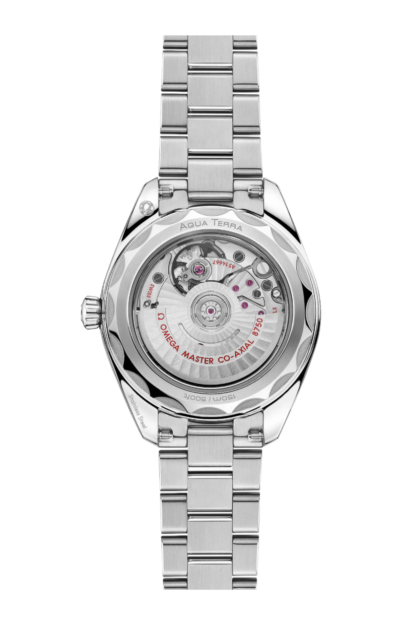 Omega | SEAMASTER AQUA TERRA 150M 30 MM, ACCIAIO SU ACCIAIO - 220.10.30.20.10.002 (2)