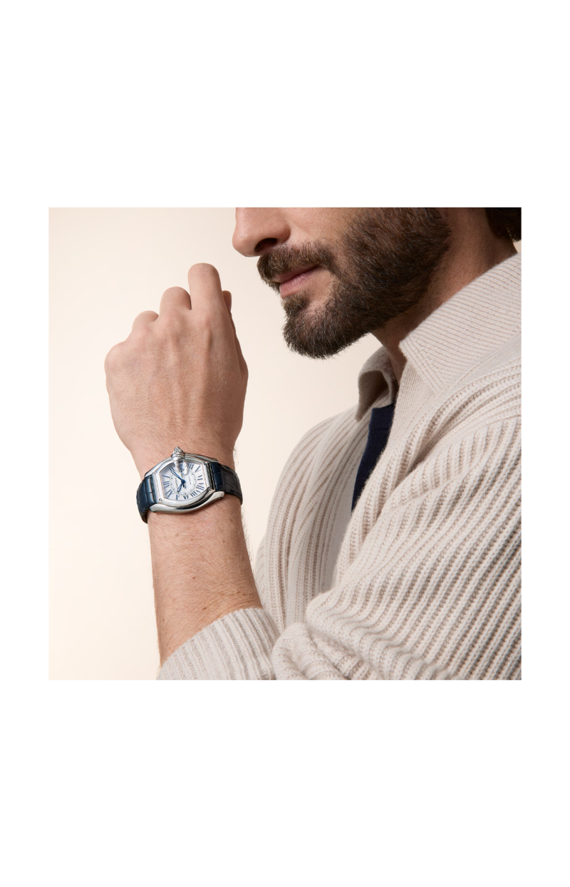 Cartier | ROADSTER MODELLO GRANDE, ACCIAIO, AUTOMATICO - WSRD0020 (9)