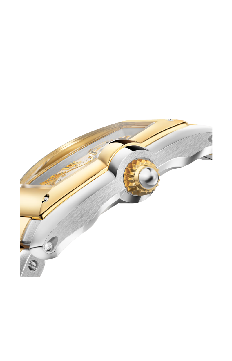 Cartier | ROADSTER MODELLO GRANDE, ORO GIALLO, ACCIAIO, AUTOMATICO - W2RD0010 (3)