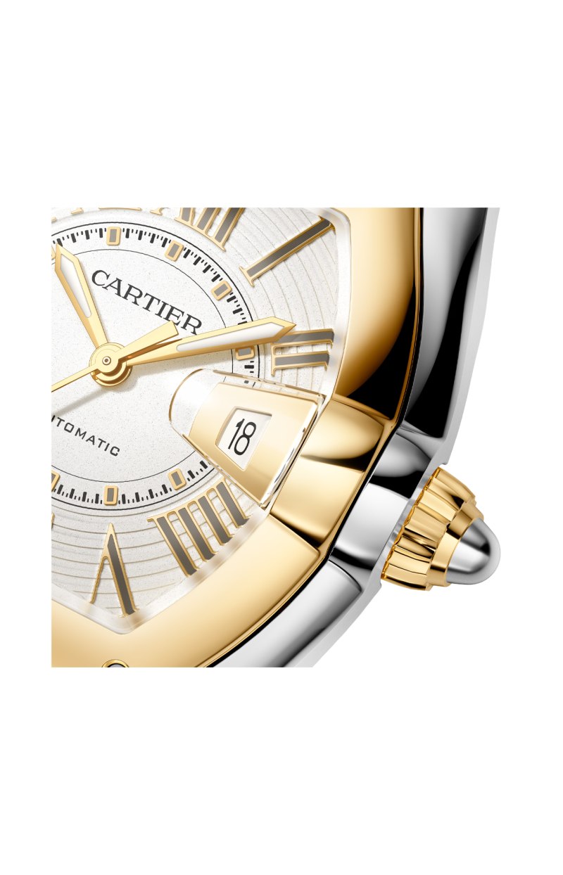 Cartier | ROADSTER MODELLO GRANDE, ORO GIALLO, ACCIAIO, AUTOMATICO - W2RD0010 (4)