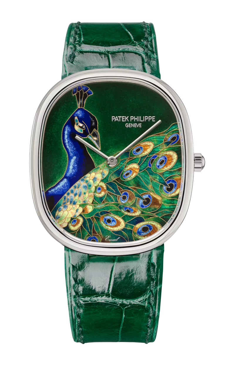Patek Philippe | RARE HANDCRAFTS PAVONE BLU, AUTOMATICO - LIMITED EDITION - 5738/50G-041 (1)