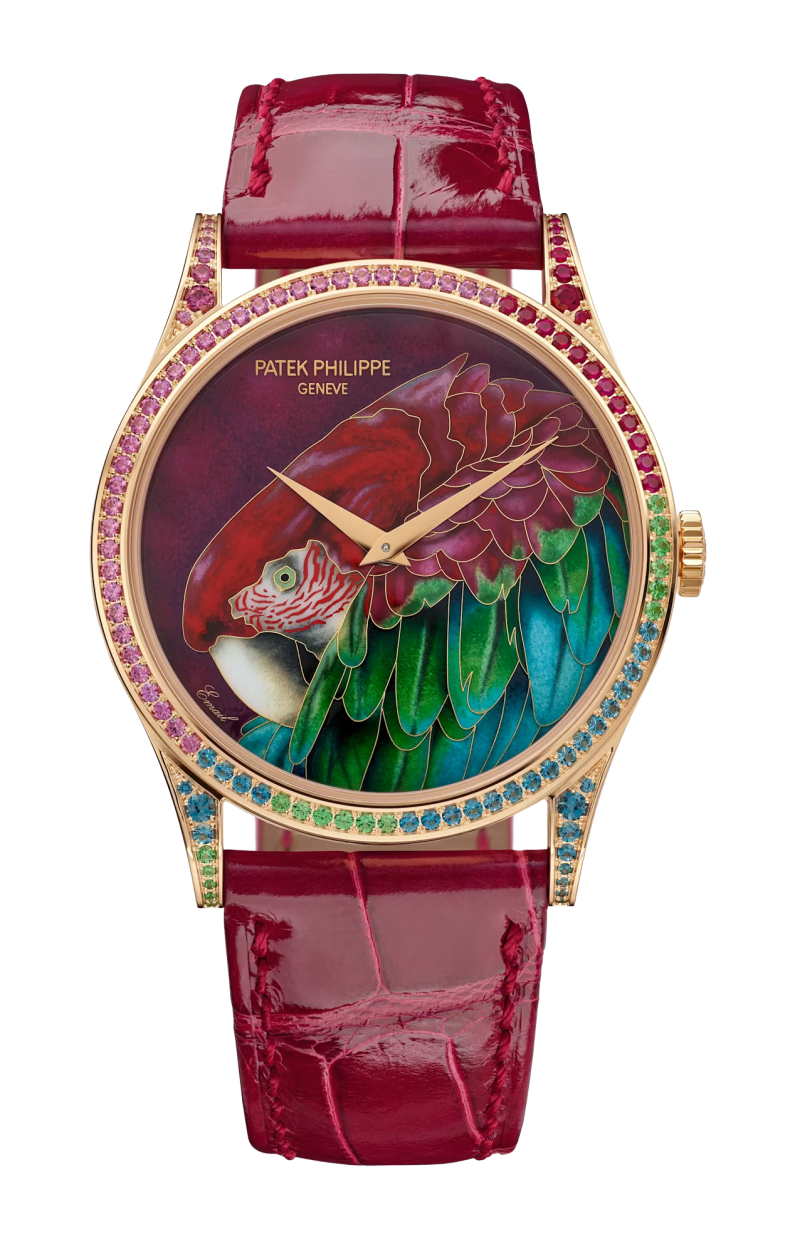 Patek Philippe | RARE HANDCRAFTS ARA DALLE ALI VERDI, AUTOMATICO - LIMITED EDITION - 5077/211R-001 (1)